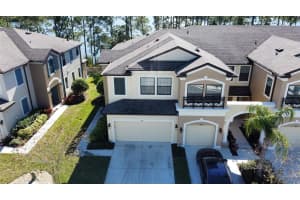 11418 CROWNED SPARROW LANE, TAMPA, FL 33626 Sold 03/10/23