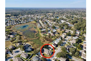 24814 LAUREL RIDGE DRIVE, LUTZ, FL 33559 Sold 03/10/23