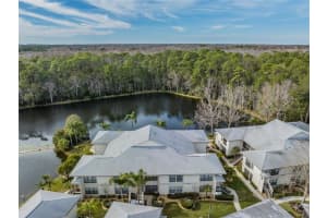 3374 MERMOOR DRIVE, PALM HARBOR, FL 34685 Sold 03/02/23