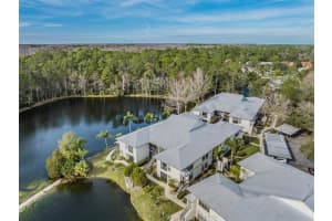 3374 MERMOOR DRIVE, PALM HARBOR, FL 34685 Sold 03/02/23