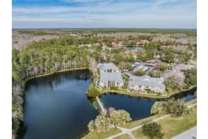 3374 MERMOOR DRIVE, PALM HARBOR, FL 34685 Sold 03/02/23