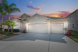 3300 Stonegate Falls Dr, Land O' Lakes, FL 34638, Sold 03/03/23