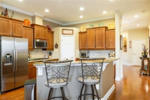 20622 AMANDA OAK COURT, LAND O LAKES, FL 34638 Sold 04/17/23