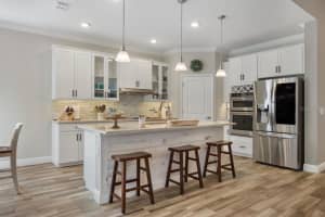 11882 FROST ASTER DRIVE, RIVERVIEW, FL 33579 Sold 02/21/23