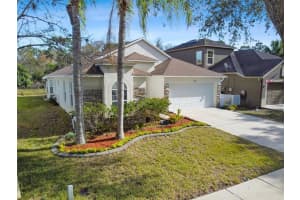 10850 WILD COTTON COURT, LAND O LAKES, FL 34638 Sold 03/17/23
