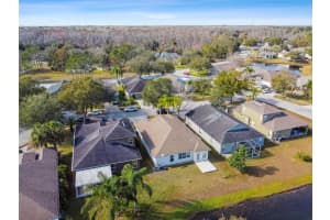 10850 WILD COTTON COURT, LAND O LAKES, FL 34638 Sold 03/17/23