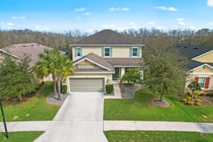 27043 CAROLINA ASTER DRIVE, WESLEY CHAPEL, FL 33544 Sold 03/23/23