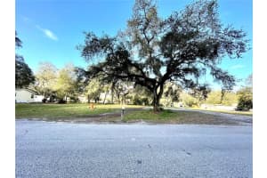 14820 15TH STREET, LUTZ, FL 33549 - MLS#MFRT3425349