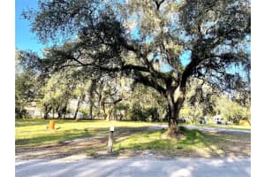 14820 15TH STREET, LUTZ, FL 33549 - MLS#MFRT3425349