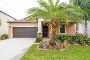 13906 SNOWY PLOVER LANE, RIVERVIEW, FL 33579 Sold 03/21/23