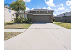 10602 FUZZY CATTAIL STREET, RIVERVIEW, FL 33578 Sold 04/06/23