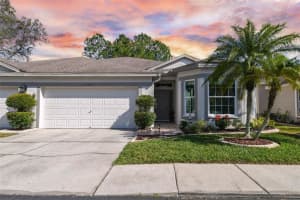 10041 Bucklin St, Tampa, FL 33625, Sold 04/21/23