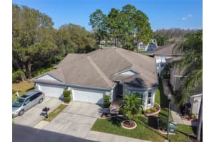 10041 Bucklin St, Tampa, FL 33625, Sold 04/21/23