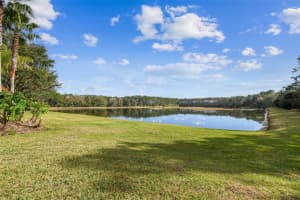 7610 Dunbridge Dr, Odessa, FL 33556, Sold 03/07/23