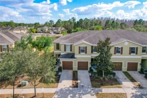 20409 BERRYWOOD LANE, TAMPA, FL 33647 Sold 03/31/23