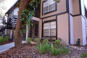 4033 Dream Oak Pl, Tampa, FL 33613, Sold 03/10/23