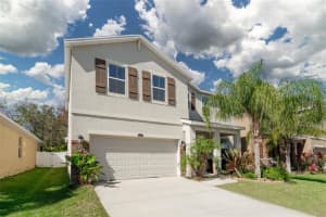 11415 WARREN OAKS PLACE, RIVERVIEW, FL 33578 Sold 05/12/23