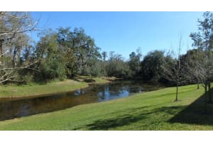 6838 Citrus Creek Lane, Tampa, Florida 33625