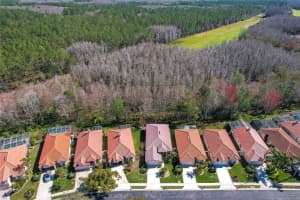 1163 DARTFORD DRIVE, TARPON SPRINGS, FL 34688 Sold 03/30/23