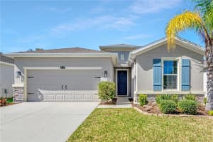 10438 SCENIC HOLLOW DRIVE, RIVERVIEW, FL 33578 Sold 03/30/23