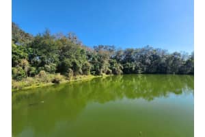 806 Lake Haven Square, Brandon, FL 33511, Sold 05/16/23