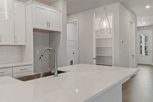 1459 GOPHER LOOP, TARPON SPRINGS, FL 34689 Sold 07/06/23