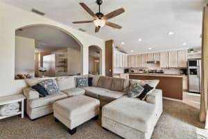 6739 RUNNER OAK DRIVE, WESLEY CHAPEL, FL 33545 Sold 04/14/23