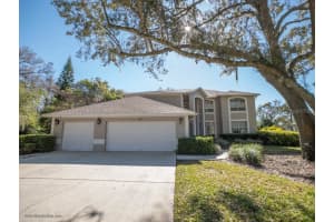 17121 EQUESTRIAN TRAIL, ODESSA, FL 33556 Sold 05/19/23