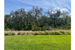 12719 WHEATGRASS COURT, PARRISH, FL 34219 Sold 05/31/23