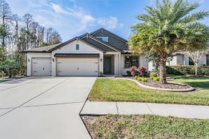 8538 MAY PORT COURT, LAND O LAKES, FL 34638 Sold 04/03/23