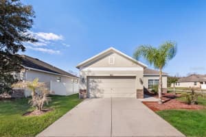 18325 FISH LOOP, LAND O LAKES, FL 34638 Sold 04/21/23