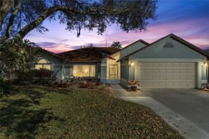 2344 FOGGY RIDGE PARKWAY, LAND O LAKES, FL 34639 Sold 03/31/23