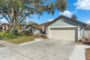 2344 FOGGY RIDGE PARKWAY, LAND O LAKES, FL 34639 Sold 03/31/23