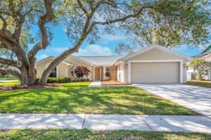 10339 ASHLEY OAKS DRIVE, RIVERVIEW, FL 33578 Sold 03/31/23