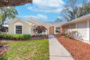 10339 ASHLEY OAKS DRIVE, RIVERVIEW, FL 33578 Sold 03/31/23