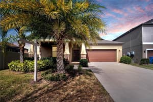 11006 PURPLE MARTIN BOULEVARD, RIVERVIEW, FL 33579 Sold 04/26/23