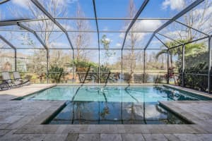 22743 CHEROKEE ROSE PLACE, LAND O LAKES, FL 34639 Sold 04/04/23