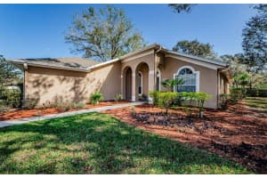 10006 COUNTRY CARRIAGE CIRCLE, RIVERVIEW, FL 33569 Sold 03/31/23