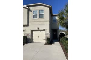 10209 NEWEL VALLEY LOOP, RIVERVIEW, FL 33569 Sold 03/28/23