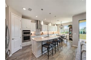 18757 Birchwood Groves Dr Lutz, FL 33558 Sold 05/26/23