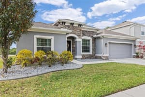 10422 FLAGSTAFF FALLS AVENUE, RIVERVIEW, FL 33578 Sold 05/31/23