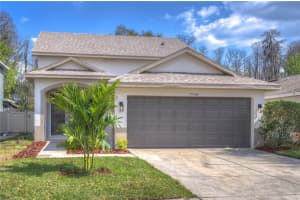7744 CITRUS BLOSSOM DRIVE, LAND O LAKES, FL 34637 Sold 04/21/23