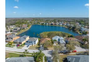 10548 BURNING BUSH TERRACE, LAND O LAKES, FL 34638 Sold 04/07/23