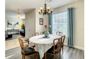 19103 CELLINI PLACE, LUTZ, FL 33558 Sold 04/10/23
