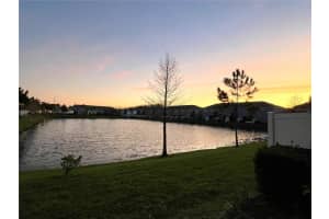 3212 PAINTED BLOSSOM COURT, LUTZ, FL 33558 Sold 05/05/23