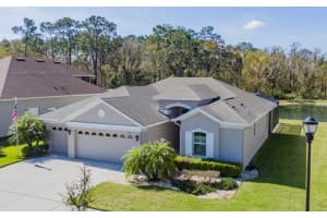 27190 HAWKS NEST CIRCLE, WESLEY CHAPEL, FL 33544 Sold 05/31/23