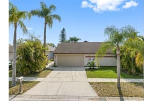 7005 DRURY STREET, TAMPA, FL 33635 Sold 05/11/23