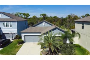 10608 BAHAMA WOODSTAR COURT, RIVERVIEW, FL 33579 Sold 04/10/23
