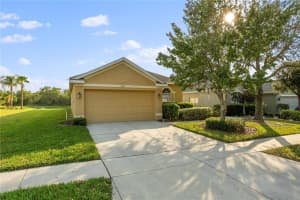 2813 GRAPHITE COURT, VALRICO, FL 33594 Sold 04/07/23