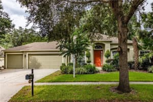 916 HICKORY FORK DRIVE, SEFFNER, FL 33584 Sold 04/14/23